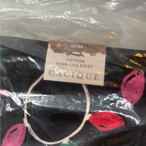 5 pair of Cacique (Lane Bryant) panties size 22/24. - Picture 2 of 10
